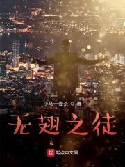 无翅之徒封面