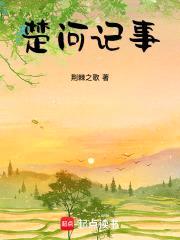 楚河记事封面