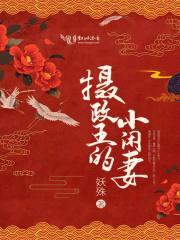 摄政王的小闲妻封面