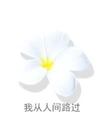 我从人间路过封面