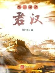 乱三国之君汉封面