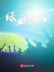 重生绿茵教父封面