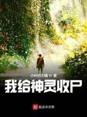 我给神灵收尸封面