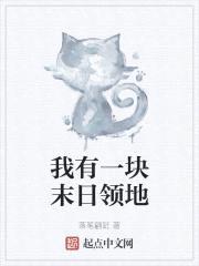 我有一块末日领地封面