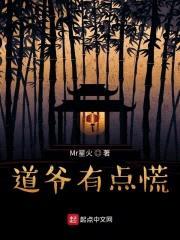 道爷有点慌封面