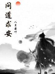问道求安封面