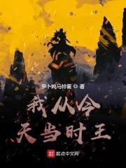我从今天当时王封面