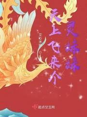 天上飞来个灵meimei封面