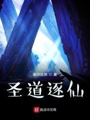 圣道逐仙封面