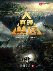 真理禁区封面