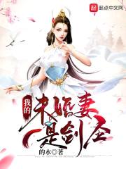 我的未婚妻是剑圣封面