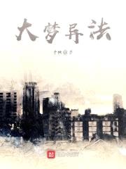大梦异法封面