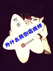 为什么我倒霉成神封面