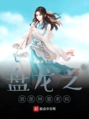 盘龙之我是林雷老妈封面