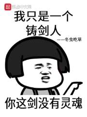 我只是一个铸剑人封面