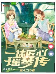 一抹匠心瑶琴传封面