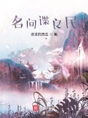 名间谍良民封面