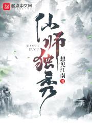 仙师独秀封面