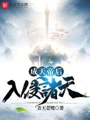 成天帝后入侵诸天封面