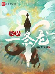 我是一条龙封面