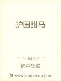 护国驸马封面