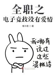 全职之电子竞技没有爱情封面