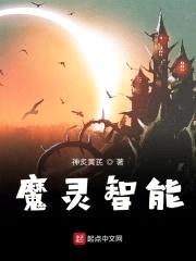 巫师文明的发展方向封面