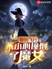 御剑飞行不小心撞倒了魔女封面