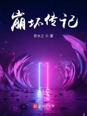 崩坏传记封面