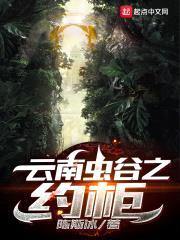 云南虫谷之约柜封面