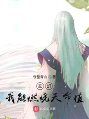 玄幻：我能燃烧天命值封面