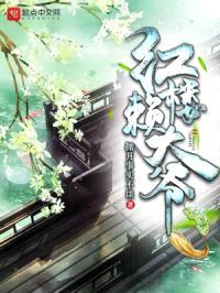 红楼赖大爷封面