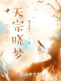 斗破之天宗晓梦封面