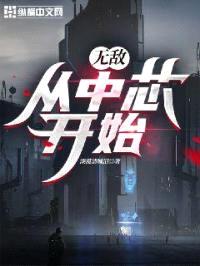 无敌：从中芯开始封面