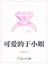 可爱的于小姐封面