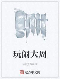 玩闹大周封面