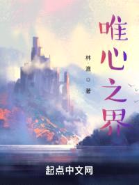 唯心之界封面