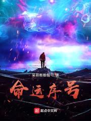 命运序号封面