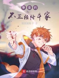 拳皇的不正经格斗家封面