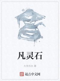 凡灵石封面