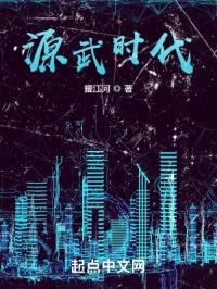 源武时代封面