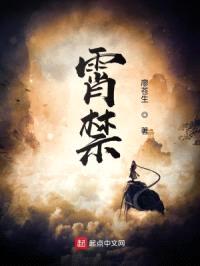 霄禁封面