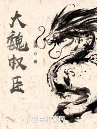 大魏权臣封面
