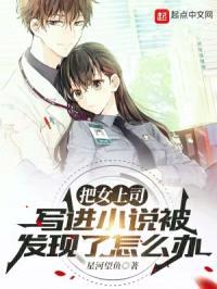 把女上司写进小说被发现了怎么办封面