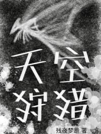 天空狩猎封面