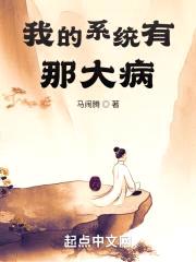 我的系统有那大病封面