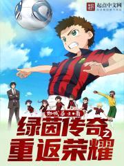 绿茵传奇之重返荣耀封面