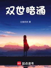 双世暗涌封面