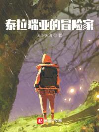 泰拉瑞亚的冒险家封面