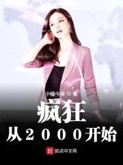 疯狂从2000开始封面